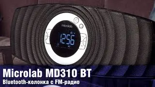 Microlab MD310 BT - budget acoustics with Bluetooth and FM radio