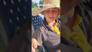 Мидии и белое вино! Лучшие друзья после трудового дня на даче! #shorts #мидии # mussels