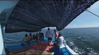 Bryde's Whale watching trip. (4K)