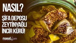 VÜCUDUNUZ İÇİN TAM BİR ŞİFA DEPOSU! İŞTE ZEYTİNYAĞLI İNCİR KÜRÜ VE FAYDALARI! 