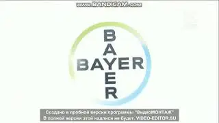 Bayer Заставка