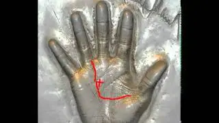 Майкл Джексон, хиромантия, анализ руки. Michael Jackson palmistry
