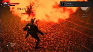 Witcher 3 - Overkill PS5 🏆
