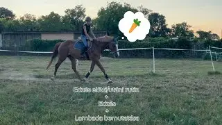 Edzés előtti/utáni rutin Lambadával | 𝐻𝐴𝑙𝑖