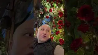 Весна в Ташкенте 