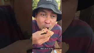CAK BUDI MAKAN BEKAL NASI PADANG