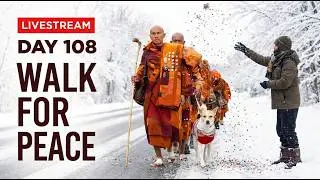 🔴 Day 108: Unity Walk on Embassy Row