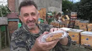 Сублиматор, дым пушка, полоски.Осенняя обработка от клеща.
