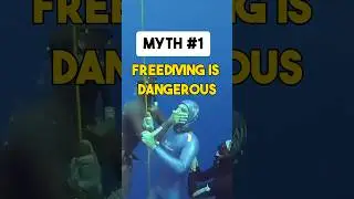 Freediving Facts vs Myths: 3 Common Misconceptions