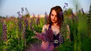 Люпины- backstage