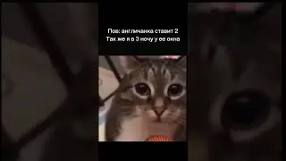 #нашараша #мем #прикол #подпишись