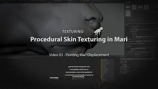 03 - How to texture skin in Mari - Painting displacement