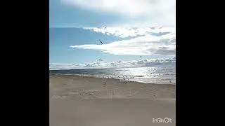 Родившиеся 21 числа