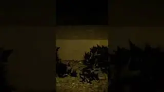 Horror animation 👻 