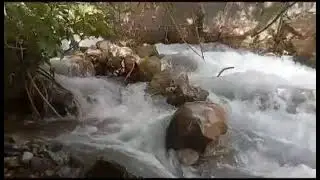 тамошо кун гушкун рохат кун лайка бшап