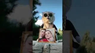 Я юморист