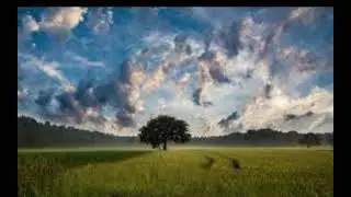 IT & CSE Books Live Stream