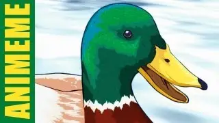 ACTUAL ADVICE MALLARD