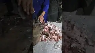 Fish cutting