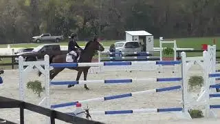Jennie Brannigan & Kismet OI SJ