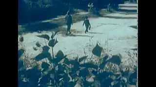 Мегаполис 