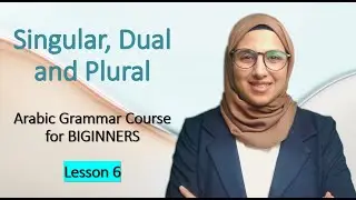 Unlocking the Secrets of Arabic Grammar: Understanding Singular, Dual, and Plural
