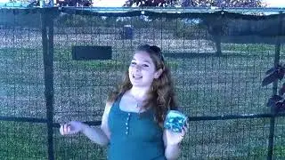 Color Commercial: Gummy Sharks