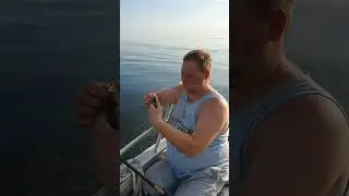 Чудское озеро , окунь на дорожку
