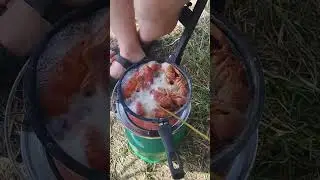 РЫБАЛКА / РАКИ / ОТДЫХ