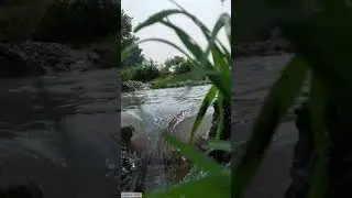 Agriculture is a Future