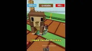 I need jandel monkey  