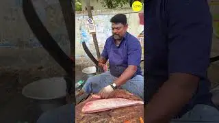 KASIMEDU SPEED SELVAM FISH CUTTING VIDEO #kasimeduselvam #shorts #bigfishcutting #youtube #bigfish