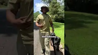 A big concern with sending dogs to us is will the training translate and last.