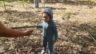 Шишка бол в Лесу!