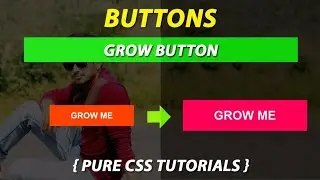 Button Hover Effect | HTML & CSS Scale effects