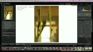 Adobe Photoshop Lightroom 4 Tutorial: Bild-Präsenz verbessern, Export