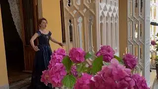Ария Царицы ночи из оперы Волшебная флейта (Wolfgang Amadeus Mozart). Анастасия Симанская