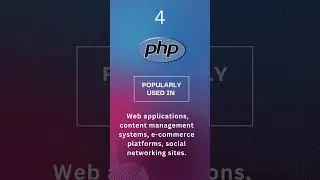 TOP 5 Backend Programming Languages in 2023 👨‍💻 