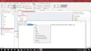 MS Access - Modify Field Properties of Already Linked Tables