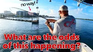 100% Shocked at what I caught!