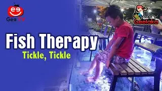 Holiday Travel With Geelaka - 02 - Fish Therapy - Gee TV