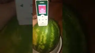 ОСТОРОЖНО АРБУЗ