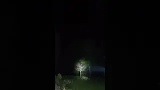 BEST Nitecore FLASHLIGHTS of 2024!