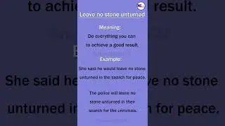 Leave no stone upturned (Idioms)
