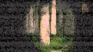 Slender man JUMPSCARE !!!!!!!!