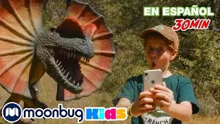 Mundo de los Dinosaurios | 