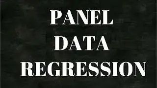 Panel Data Regression | Econometrics | Fixed-Random Effect |  Data Science