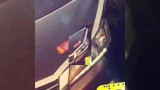 صور من سنابات المشاهير