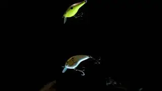 OG Rocco™ 5 vs. Rapala® OG Tiny™ 4 | Underwater