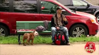 Прикол с девушкой, собакой и туалетом